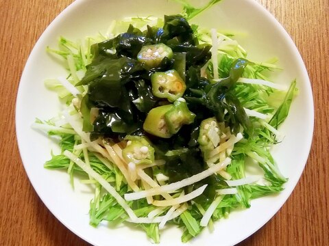 水菜と大根とオクラとわかめのサラダ